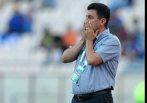 امیر قلعه نویی