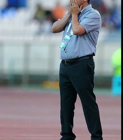 امیر قلعه نویی