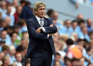 مانوئل لوئیس پلگرینی