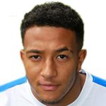 Nathaniel Mendez-Laing/کاردیف سیتی /ولز / باشگاهی / مردان (104)/33