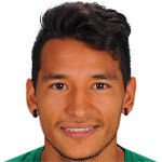 Leandro Antonio Martínez/تالارِس رِمِدیوس / / باشگاهی / مردان (7966)/36