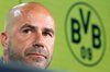 چه انتظاری باید از پیتر بوش سرمربی جدید دورتموند داشت؟