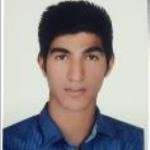 شهریار مقانلو/پیکان /ایران / باشگاهی / مردان (943)/31