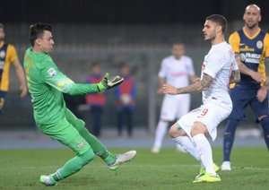 مائورو ایکاردی