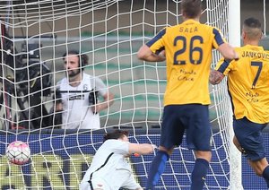 بوسکو جانکوویچ