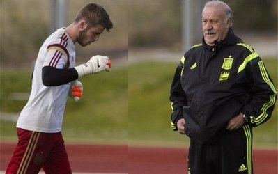 دل‌بوسکه: دخئا بازی نکند، شانس حضور در یورو 2016 را از دست می‌دهد