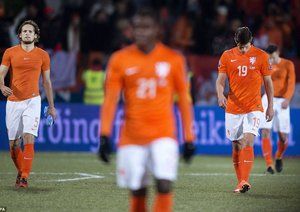 دیلی بلایند|None