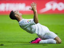 «کافه‌ماتادور» | شیر بی دندان!