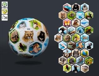 "زیست توپ" ایران به لیونل مسی اهدا می شود