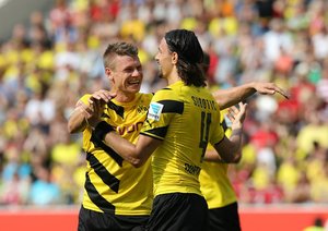 نِوِن سابوتیچ