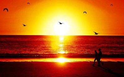 بعد از غروب...