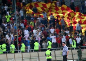 امیر قلعه نویی