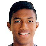 Enmanuel Jesús Páucar Reyes/یونیوِرسیتاریو /پرو / باشگاهی / مردان (1146)/29