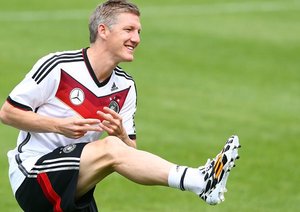 باشتین شوانشتایگر