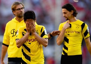 شينجی کاواگا