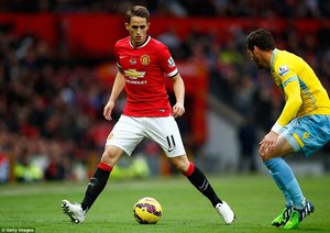 عدنان جانیوزاج