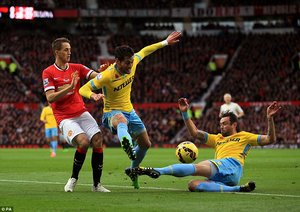 عدنان جانیوزاج